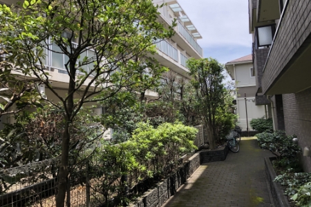 植栽の剪定